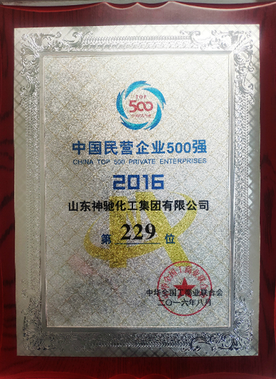 2016年8月民营企业500强第229位